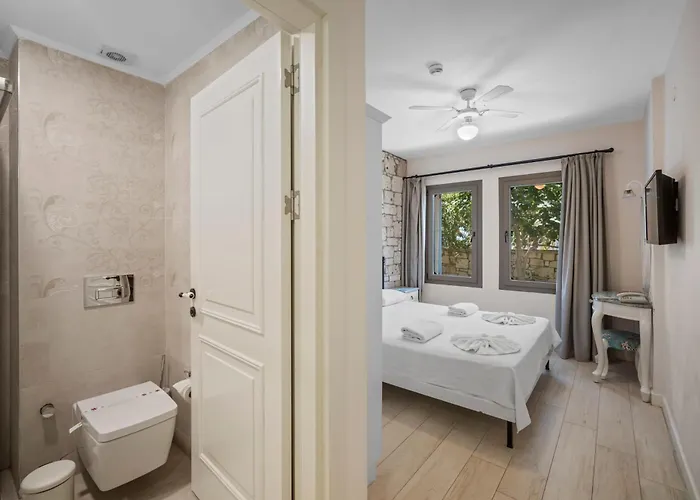 酒店 Bademli 达特恰